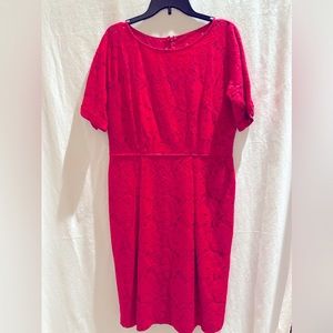 Adrianna Papel Gorgeous Lace Midi Dress Hot Pink Magenta, size 14